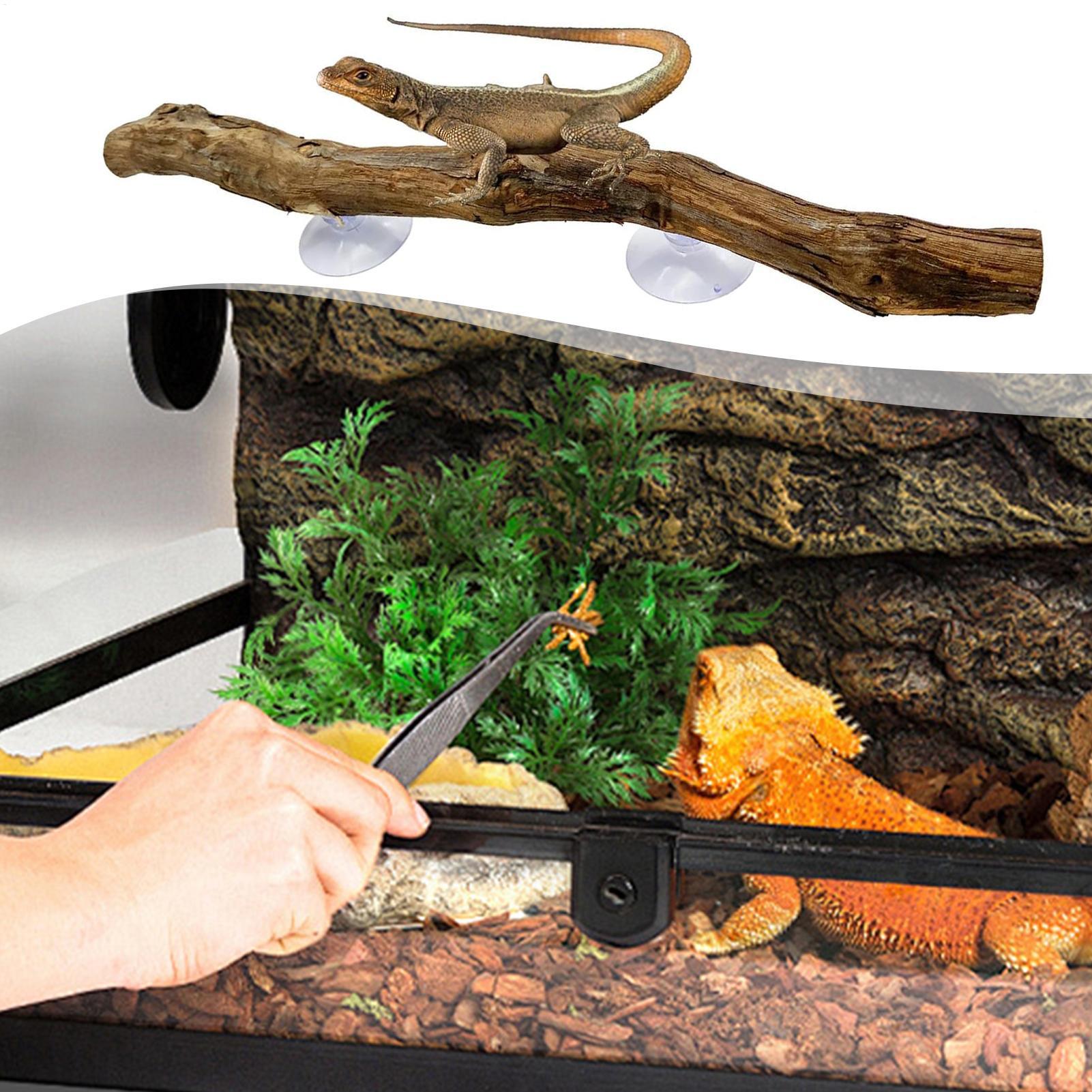 木製スネーククライミングブランチ、爬虫類用クライミングコーナ - Home Decor Habitat のレビューと価格