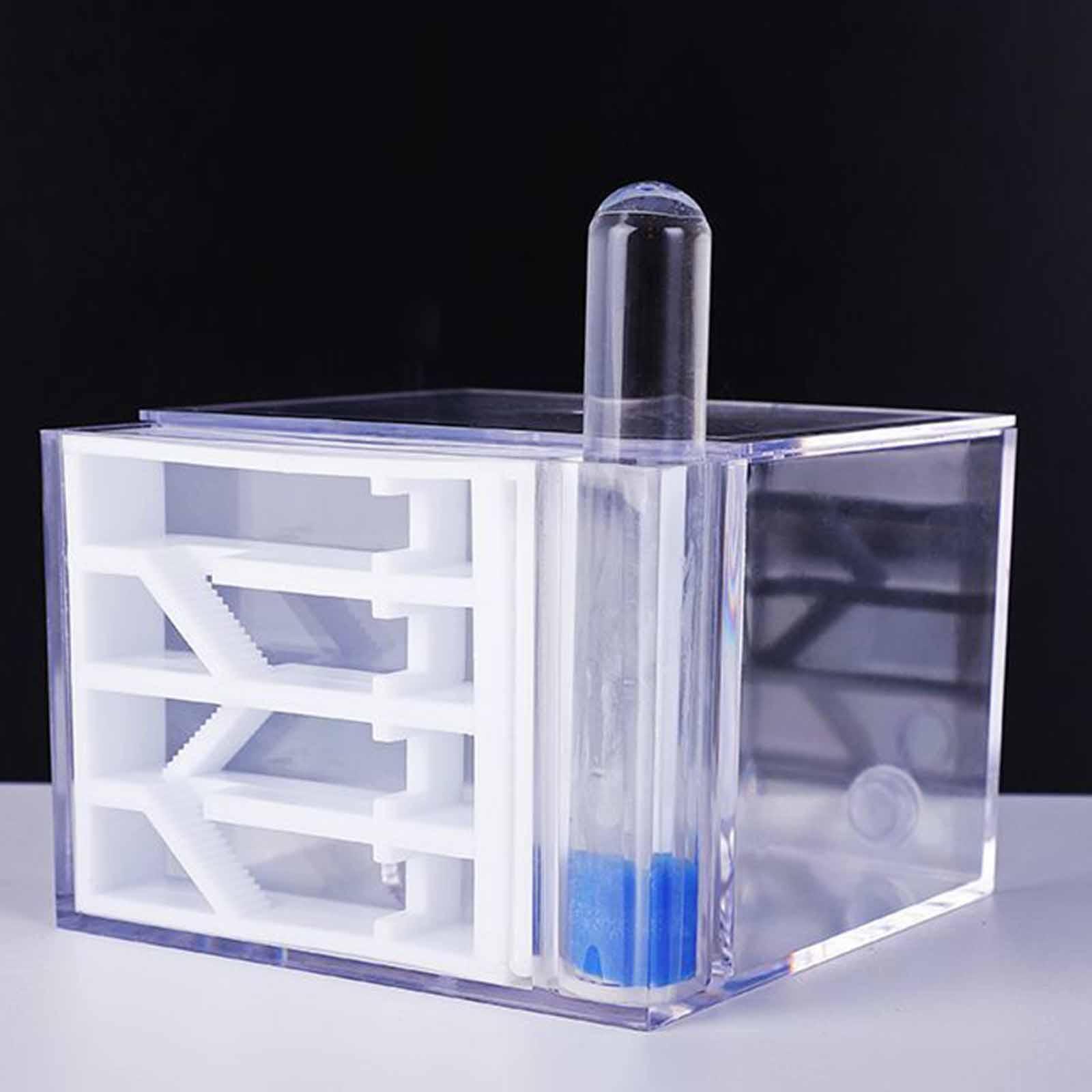 アリ飼育場 DIY 科学教育学習 組み立て簡単 アリの生息地 - Home Decor Habitat のレビューと価格