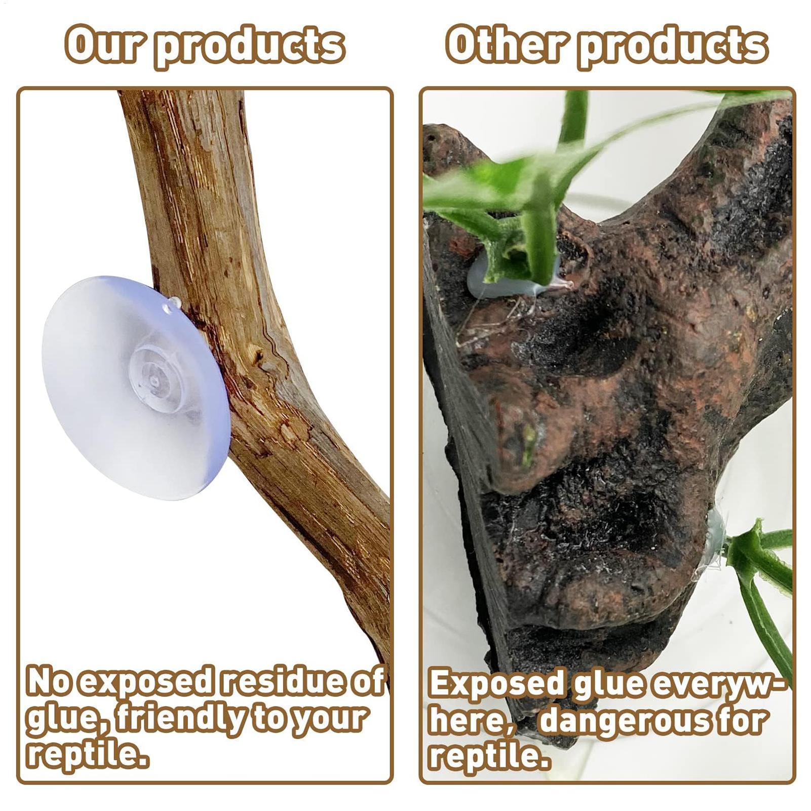爬虫類用ユニークなビアデッドドラゴンの木製装飾品、木の幹の飾 - Home Decor Habitat のレビューと価格