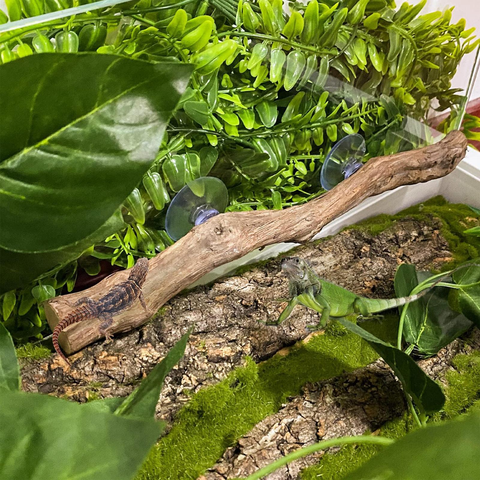 爬虫類用ユニークなビアデッドドラゴンの木製装飾品、木の幹の飾 - Home Decor Habitat のレビューと価格