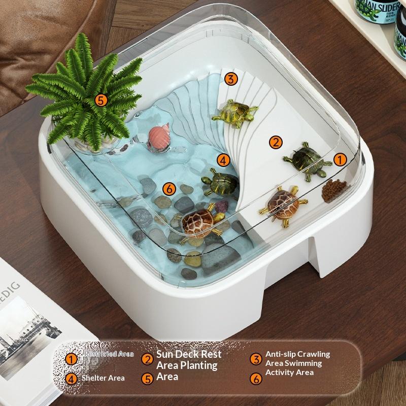新しい透明なカメ飼育タンク、卓上装飾カメボックス、日光浴プラ - Home Decor Habitat のレビューと価格