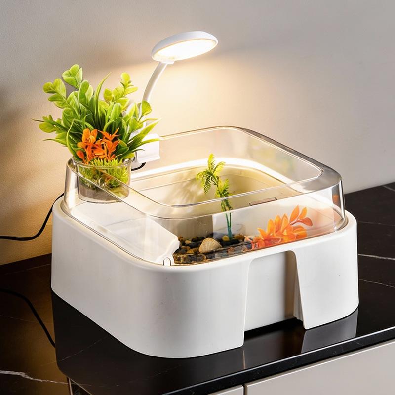 新しい透明なカメ飼育タンク、卓上装飾カメボックス、日光浴プラ - Home Decor Habitat のレビューと価格