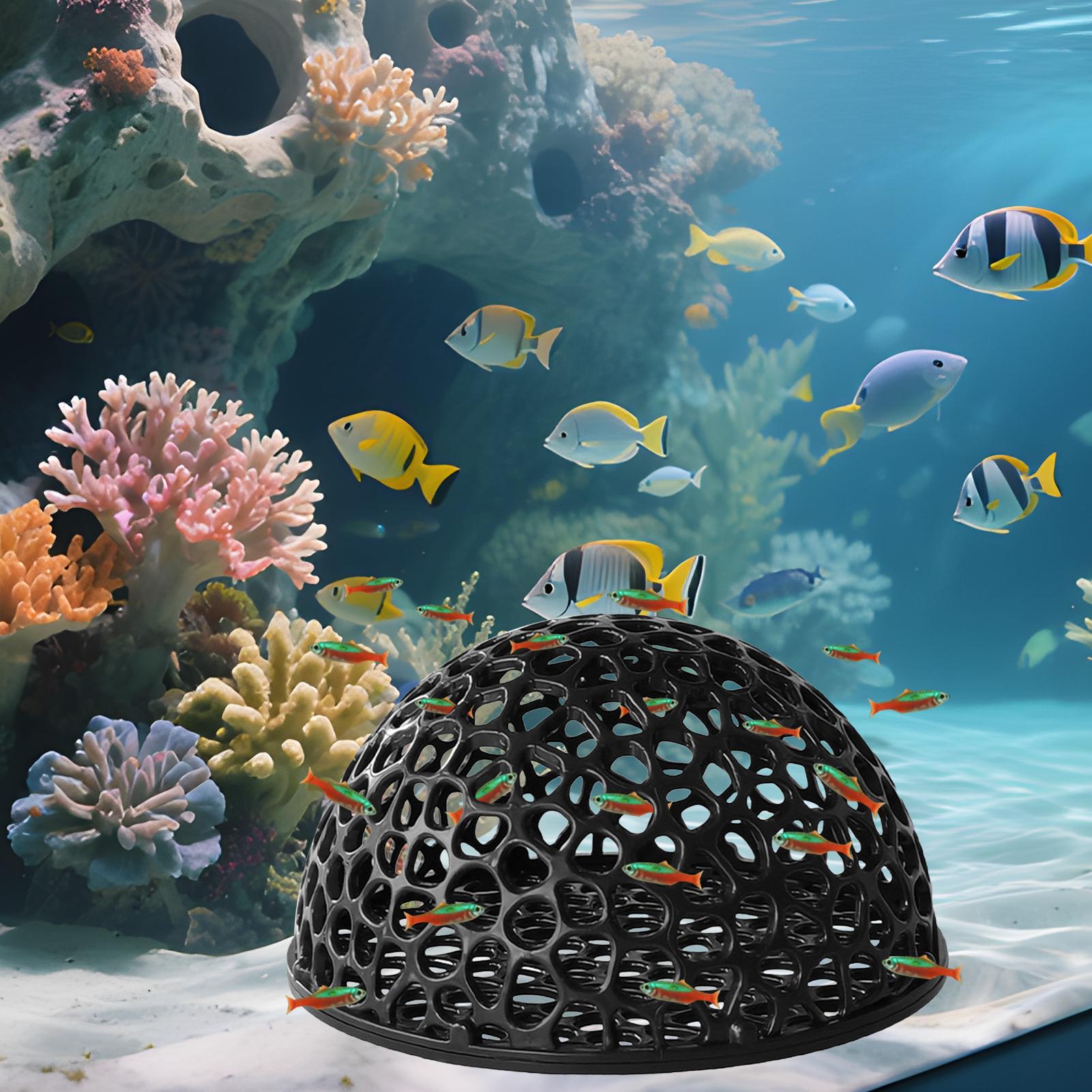 エビの繁殖洞窟水槽 エビの隠れ家 水槽装飾品 耐久性のある用 - Home Decor Habitat のレビューと価格
