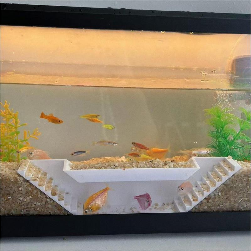 エビトンネルエビ洞窟装飾生息地シェルター休憩繁殖給餌淡水海水 - Home Decor Habitat のレビューと価格