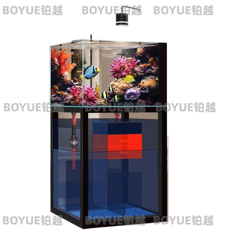 超透明ガラス製海水水槽 底面フィルター付き 小型・中型 サン - Home Decor Habitat のレビューと価格