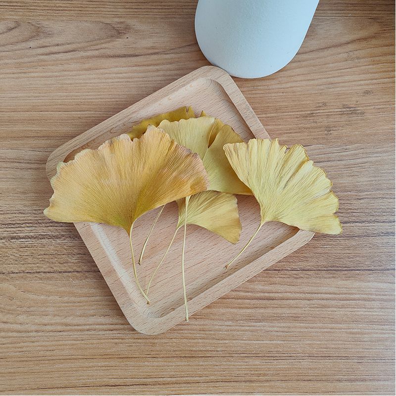 天然イチョウの葉の乾燥葉、天然ハーブスパイス、DIY石鹸・キ - Home Decor Rattan のレビューと価格